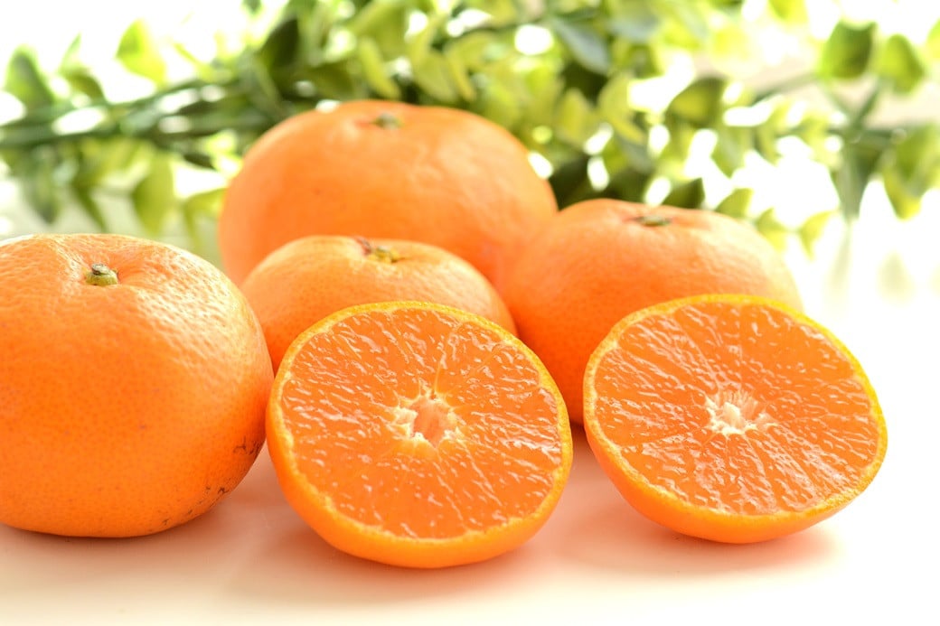 温州みかん 約5kg 2S～2L