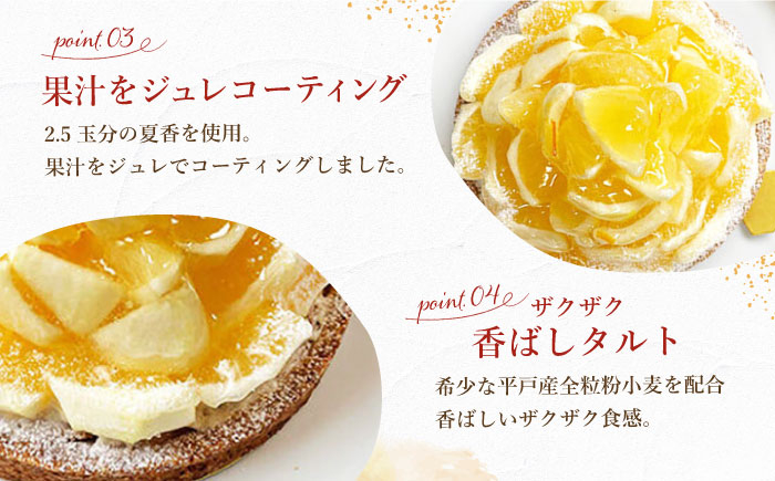 チーズケーキ タルト 夏香 チーズ ちーず なつか 柑橘 手土産 菓子 洋菓子 なつ 限定 