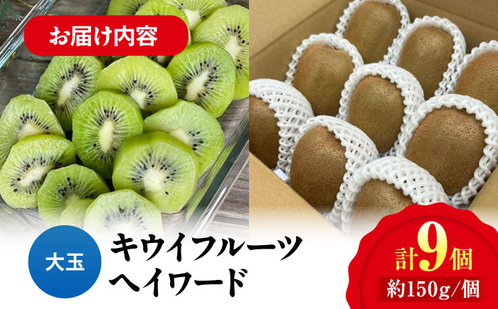 キウイ 訳あり キウイフルーツ グリーンキウイ  キュウイ キウイフルーツ ヘイワード 果物  ギフト フルーツ