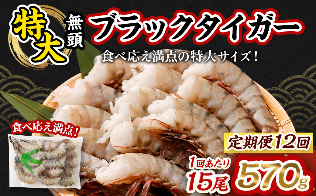 【12回定期便】特大 ブラックタイガー 無頭えび｜ 海老 えび エビ ブラックタイガー 海鮮 魚介 殻付き 冷凍 大阪府 阪南市