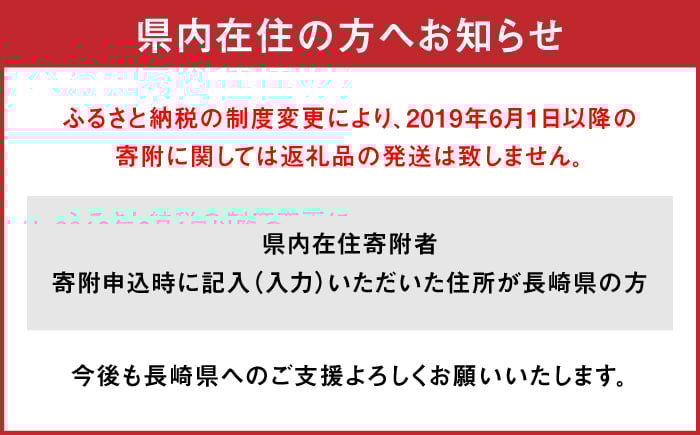 本べっ甲 べっ甲 べっこう ジュエリー ピアス ドロップピアス 工芸品 プレゼント パーティー お祝い 卒業式 入学式 長崎