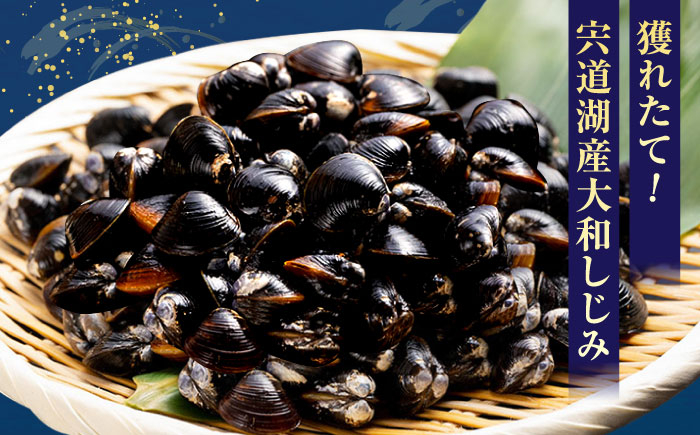 しじみ シジミ 蜆 冷凍  干物 開き 一夜干し のどぐろ