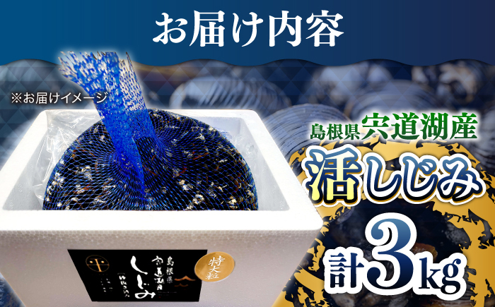 しじみ しじみ汁 味噌汁 みそ汁 宍道湖 しんじ湖 砂抜き 砂出し