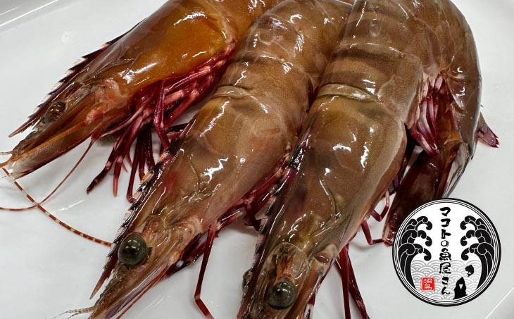 【沼島産】足赤エビ（クマエビ）200ℊ×5袋