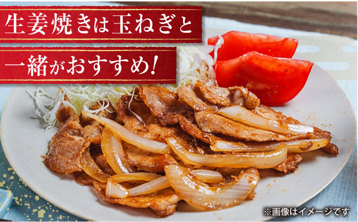 豚肉の生姜焼き 味付けセット 約500g×2 豚 しょうが焼き 焼くだけ 簡単  [ATAP023]