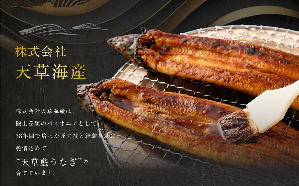海育ちの 天草 藍うなぎ 小ぶり 蒲焼 1kg(7~10尾)