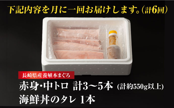 長崎 五島 対馬 佐世保 長崎県産 マグロ まぐろ 鮪 中トロ 中とろ 赤身 刺身 海鮮丼 寿司 真空パック 超速冷凍 定期便