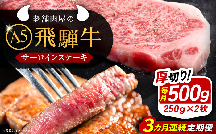 飛騨牛 牛肉 和牛 お肉 国産 ステーキ 焼肉 BBQ サーロインステーキ 贈答 ギフト おすすめ 人気 岐阜県 恵那市