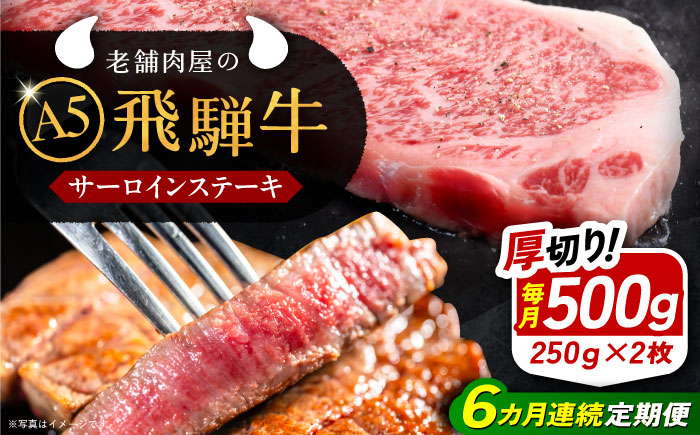 飛騨牛 牛肉 和牛 お肉 国産 ステーキ 焼肉 BBQ サーロインステーキ 贈答 ギフト おすすめ 人気 岐阜県 恵那市