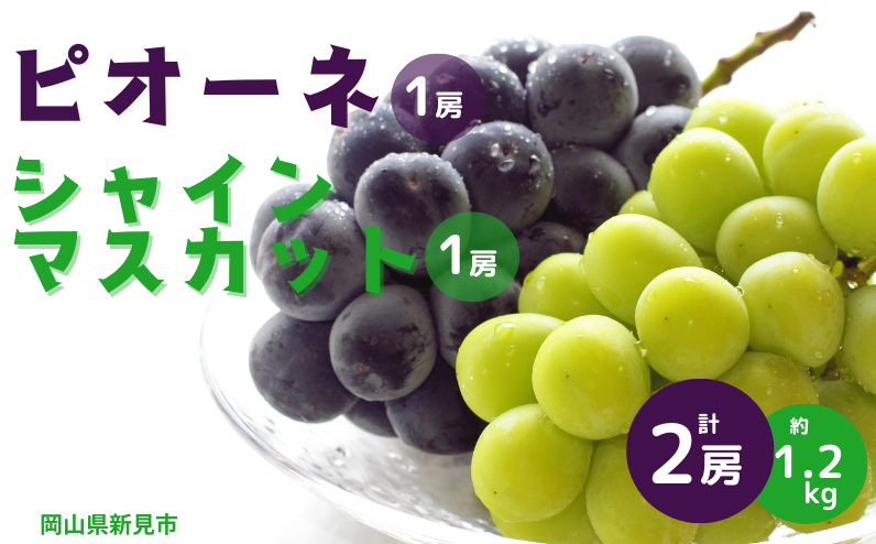 ピオーネとシャインマスカットのセット　約1.2kg（各1房）をお届けします。