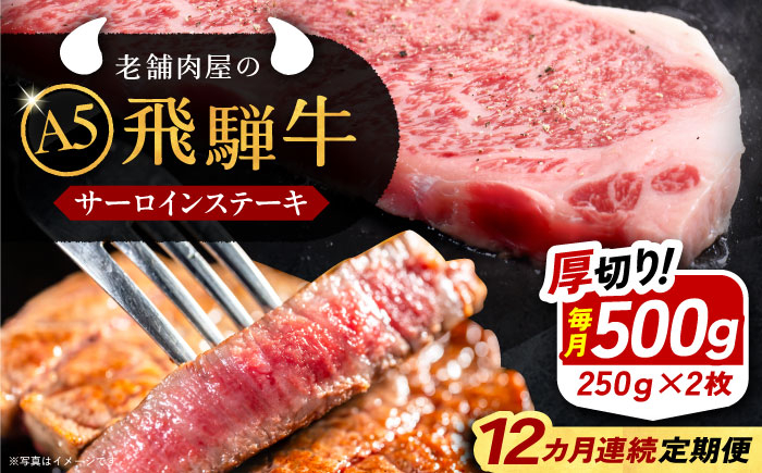 飛騨牛 牛肉 和牛 お肉 国産 ステーキ 焼肉 BBQ サーロインステーキ 贈答 ギフト おすすめ 人気 岐阜県 恵那市
