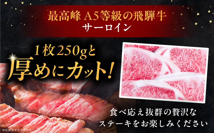 飛騨牛 牛肉 和牛 お肉 国産 ステーキ 焼肉 BBQ サーロインステーキ 贈答 ギフト おすすめ 人気 岐阜県 恵那市