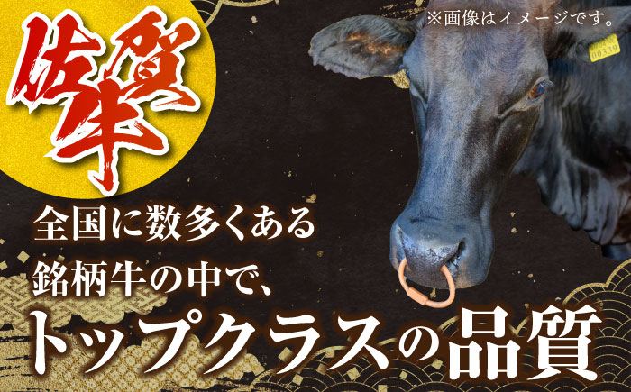 佐賀牛 ロース切り落とし 500g【肉の三栄】 [HAA111] 