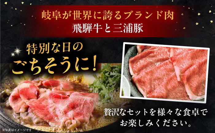 飛騨牛 牛肉 和牛 肉 三浦豚 豚肉 焼肉 BBQ バーベキュー ロース カルビ 贈答 ギフト おすすめ 人気 岐阜県 恵那市