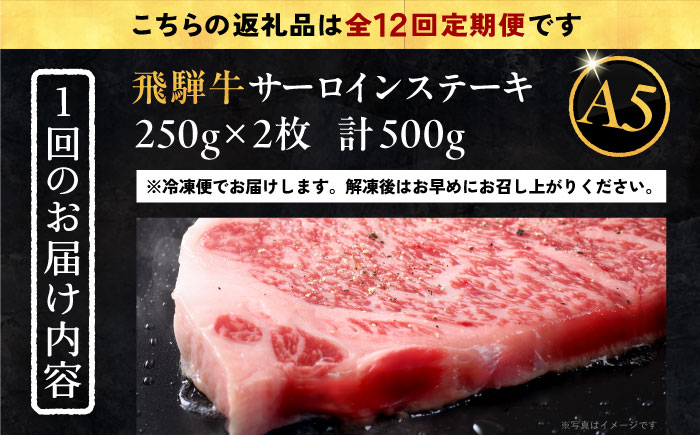 飛騨牛 牛肉 和牛 お肉 国産 ステーキ 焼肉 BBQ サーロインステーキ 贈答 ギフト おすすめ 人気 岐阜県 恵那市