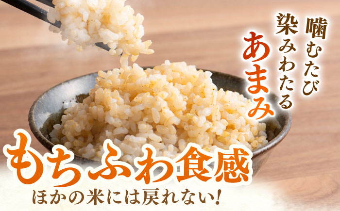 ももちゃんちのお米 さがびより 玄米 5kg【ももさき農産】特A米 特A評価 [HCG016]