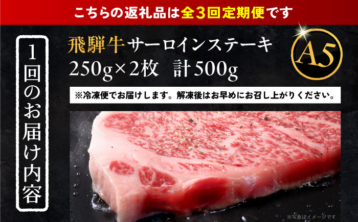 飛騨牛 牛肉 和牛 お肉 国産 ステーキ 焼肉 BBQ サーロインステーキ 贈答 ギフト おすすめ 人気 岐阜県 恵那市