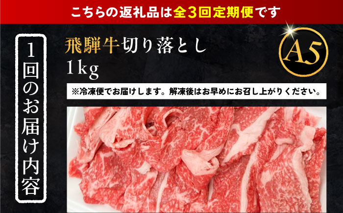 飛騨牛 牛肉 和牛 お肉 国産 焼肉 BBQ ブランド牛 切り落とし A5 高級 贈答 ギフト おすすめ 人気 岐阜県 恵那市