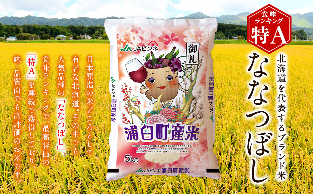【6回定期便】浦臼産ななつぼし精白米10kg（5kg×2袋）