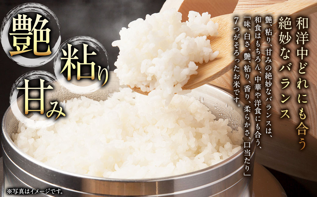 【6回定期便】浦臼産ななつぼし精白米10kg（5kg×2袋）
