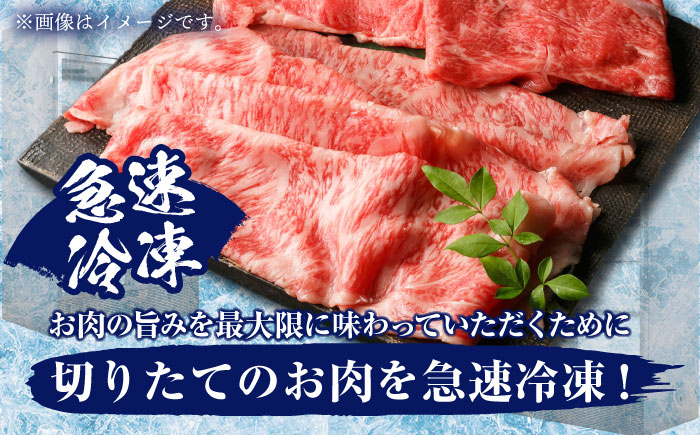 佐賀牛 ロース切り落とし 500g【肉の三栄】 [HAA111] 