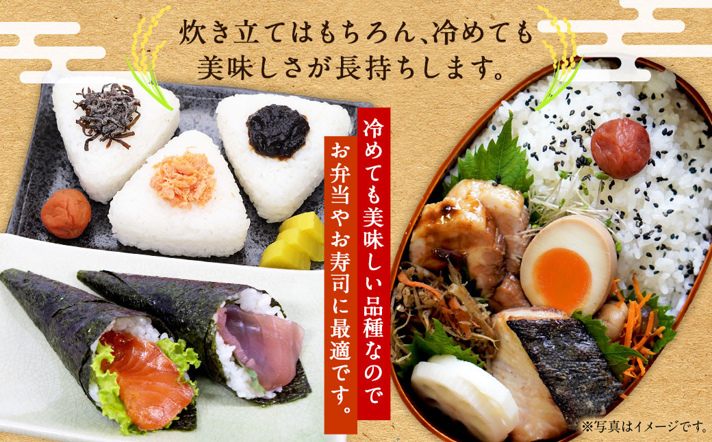【6回定期便】浦臼産ななつぼし精白米10kg（5kg×2袋）