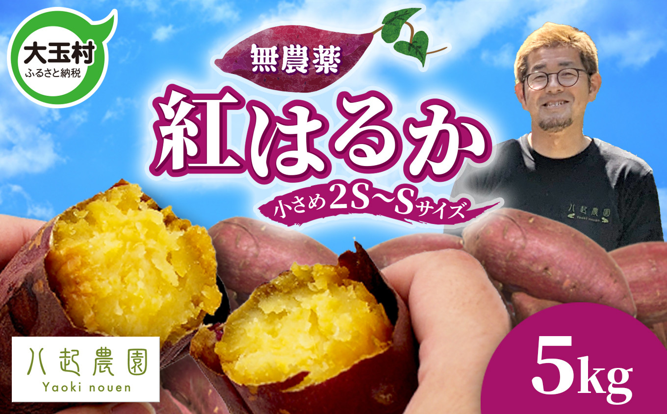無農薬 さつまいも 紅はるか 5kg 福島県 大玉村産 SS～Sサイズ混合 yn-sm-b-5kg-r6