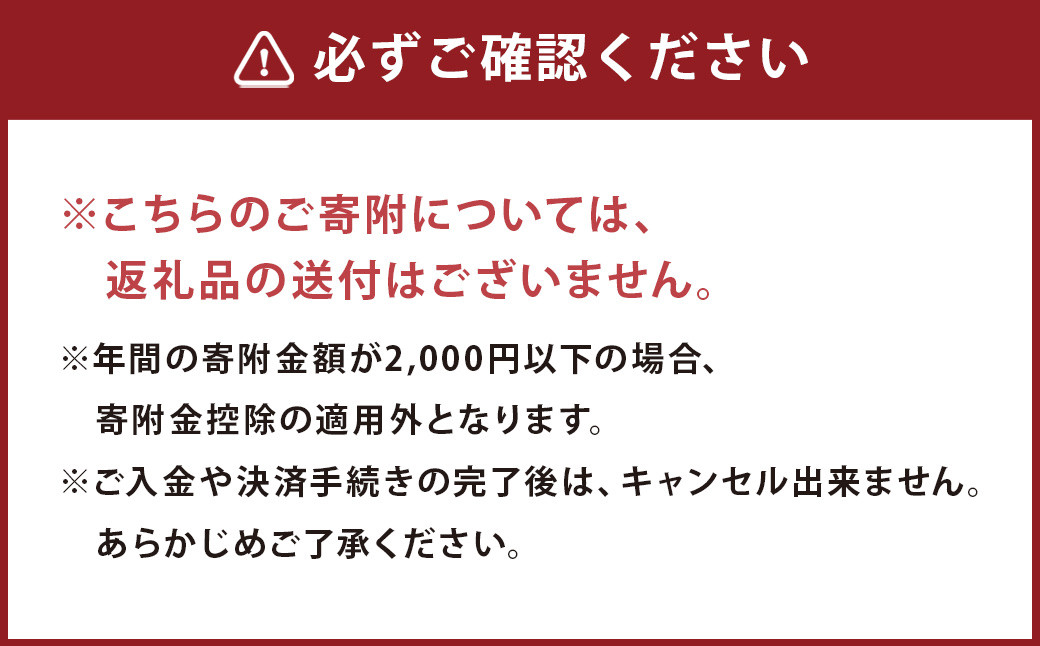 【ふるさと納税】熊本県人吉市への寄附（返礼品はありません）1口10,000円