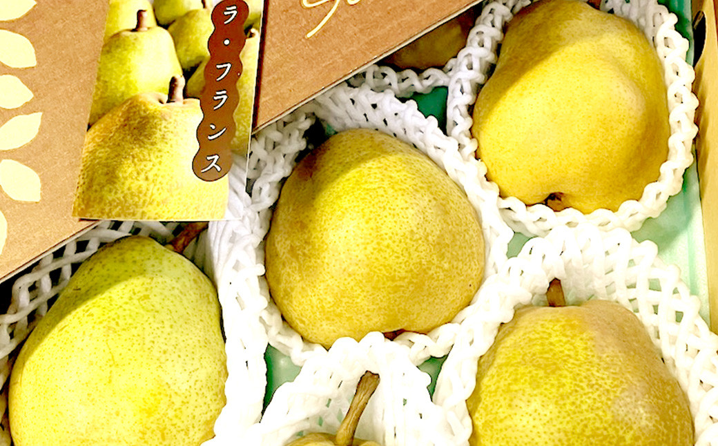 山形県産 ラ・フランス 約3kg 秀品