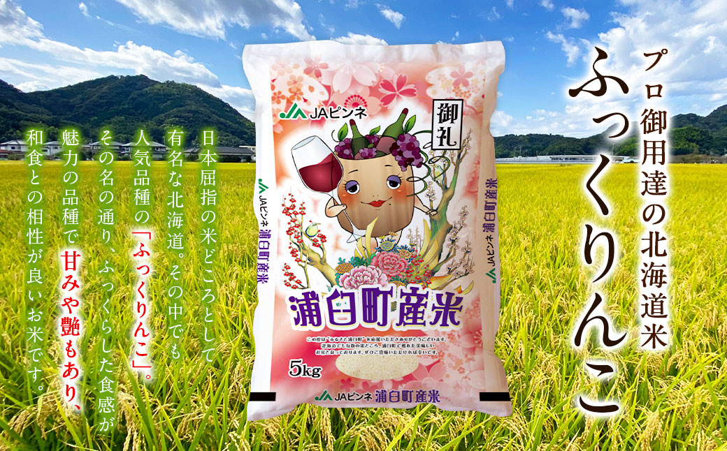 〈令和6年産〉浦臼産 ふっくりんこ 精白米 10kg （5kg×2袋）