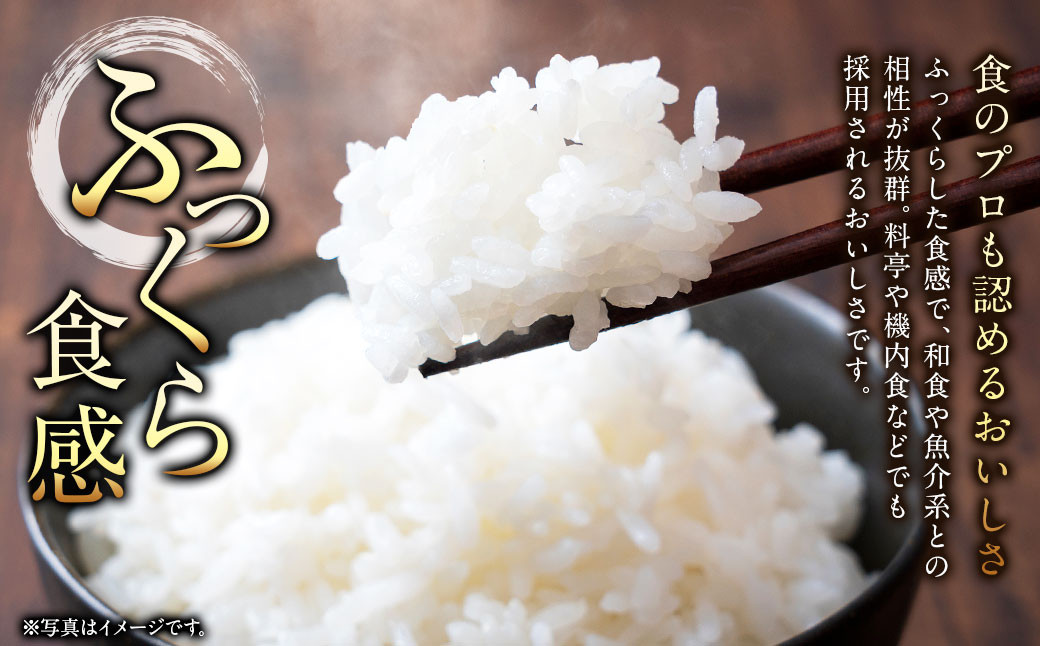 〈令和6年産〉浦臼産 ふっくりんこ 精白米 10kg （5kg×2袋）