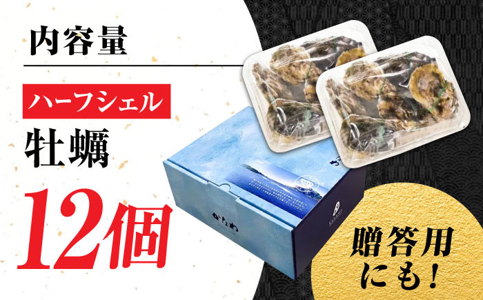 牡蠣 生食 むき身 殻付き かき カキ 生牡蠣 広島牡蠣 オイスター カキフライ 魚介類 貝類 海鮮 広島県産 国産 産地直送
