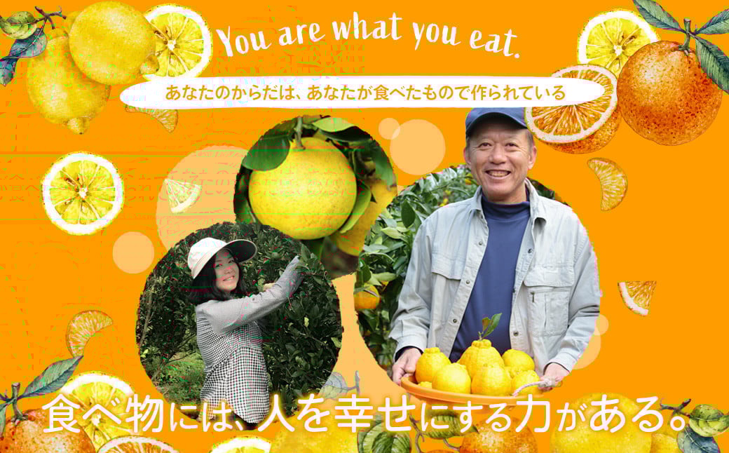 環境マイスターの不知火 訳あり 4kg