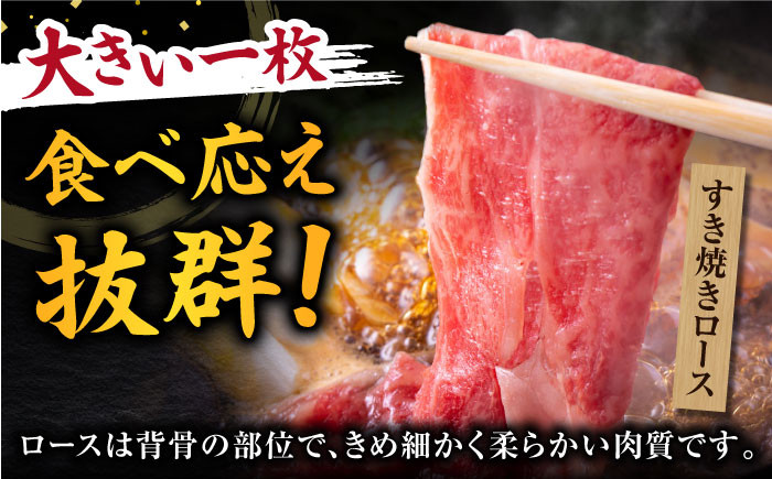 飛騨牛 2種セット ロース サーロイン すきやき すき焼き ステーキ 厳選 A5 大容量 食べ比べ