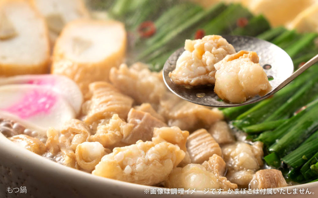 肉ごぼ天うどん 5人前+もつ鍋 4人前