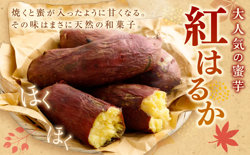 【 訳あり 】“熟成” 茨城県産 さつまいも 【 紅はるか 】 約5kg