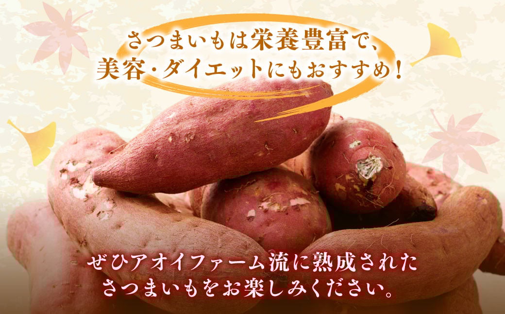 “熟成” 茨城県産 さつまいも 【 紅はるか 】 約5kg