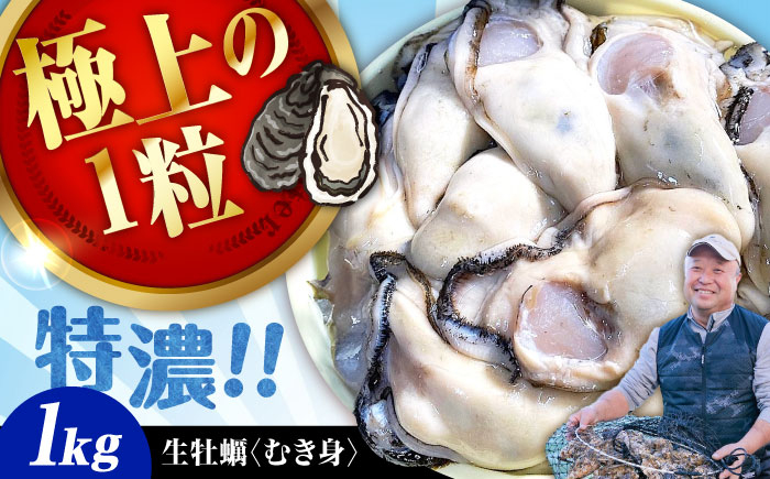 牡蠣 むき身 殻付き かき カキ 生牡蠣 広島牡蠣 オイスター