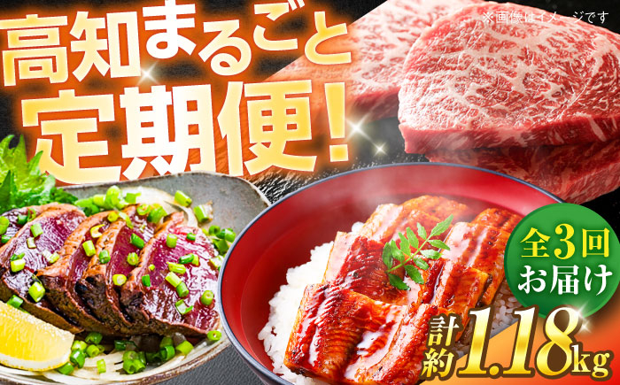 【3回定期便】高知をまるごと定期便〈鰹タタキ2節・うなぎ蒲焼き2尾・土佐あかうし300g〉 【株式会社Dorago】