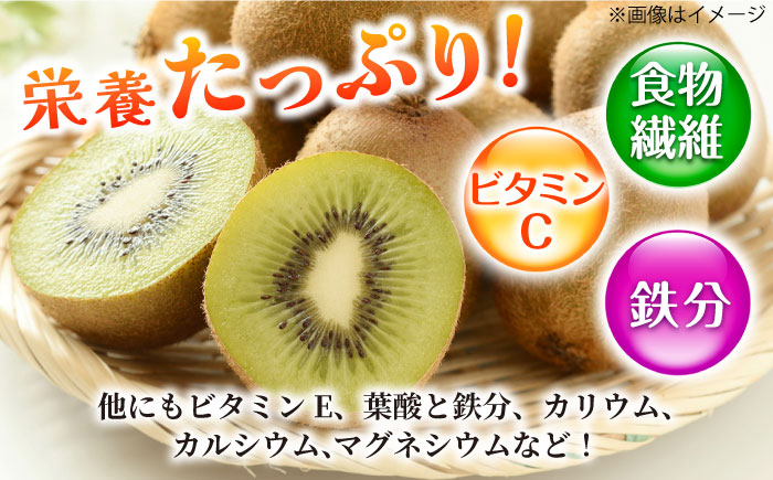 果物 キウイ きうい 選べる ビタミン 美容 キウイ