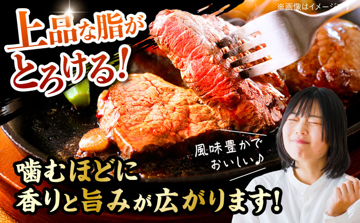【4回定期便】土佐あかうしサーロイン&モモステーキセット 計約1kg【幻の和牛の贅沢セット】【株式会社Dorago】