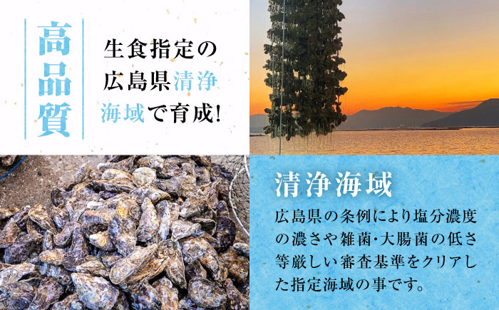 牡蠣 むき身 殻付き かき カキ 生牡蠣 広島牡蠣 オイスター