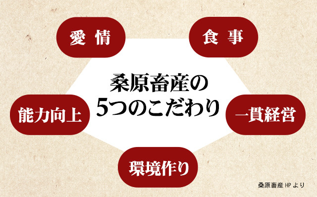 牛肉 切り落とし 小分け 佐賀牛 焼肉 すき焼き しゃぶしゃぶ 牛丼 黒毛和牛
