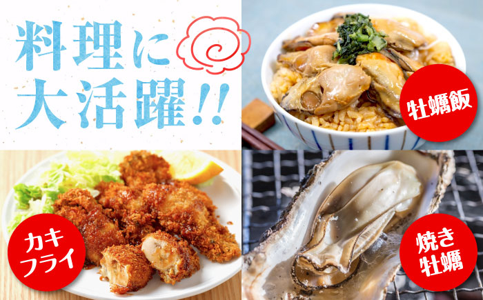 牡蠣 むき身 殻付き かき カキ 生牡蠣 広島牡蠣 オイスター