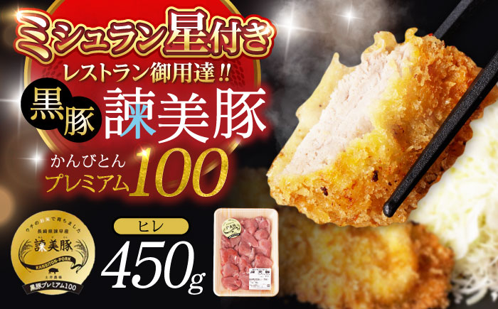 豚肉 肉 豚 ぶたにく 諌美豚 ヒレ 黒豚 とんかつ トンカツ 長崎 長崎県産