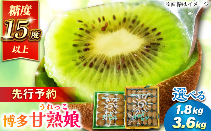 果物 キウイ きうい 選べる ビタミン 美容 キウイ