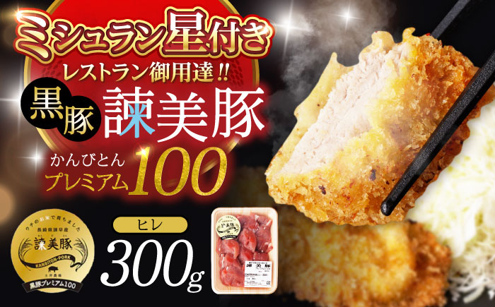 豚肉 肉 豚 ぶたにく 諌美豚 ヒレ 黒豚 とんかつ トンカツ 長崎 長崎県産