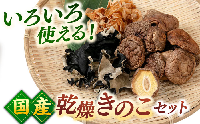 乾燥しいたけ 乾燥きくらげ 木耳 キクラゲ シイタケ 椎茸