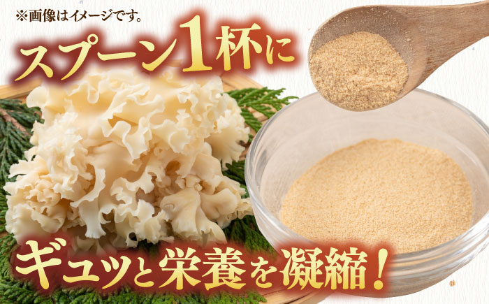 キクラゲ  木耳  きのこ きくらげ 健康