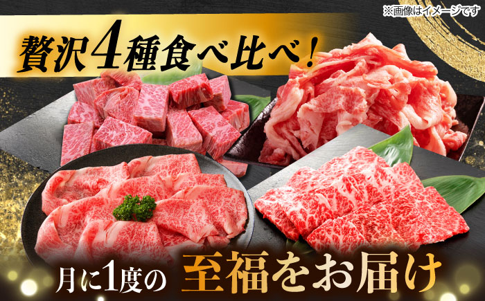 4回 飛騨牛 プレミアム 定期便 2人前 しゃぶしゃぶ すき焼き サイコロステーキ 焼肉 各500g